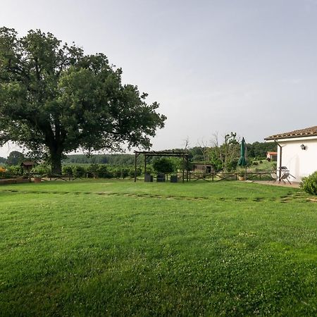 Agriturismo Il Poggio Ветралла Экстерьер фото