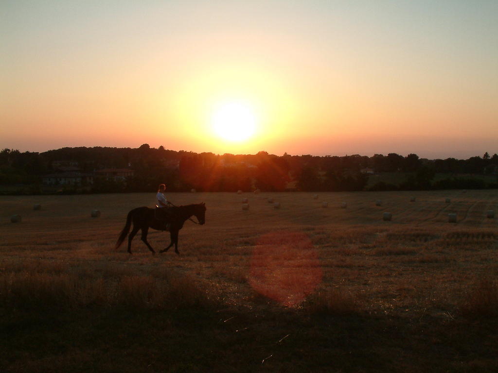 Agriturismo Il Poggio Ветралла Экстерьер фото
