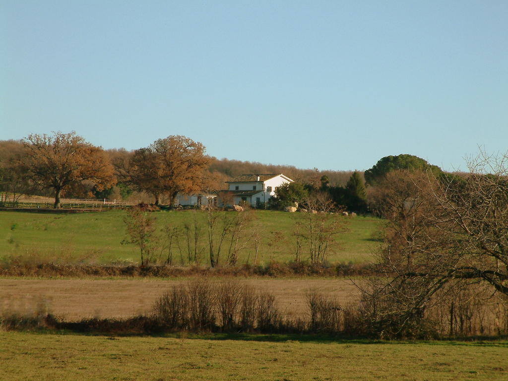 Agriturismo Il Poggio Ветралла Экстерьер фото