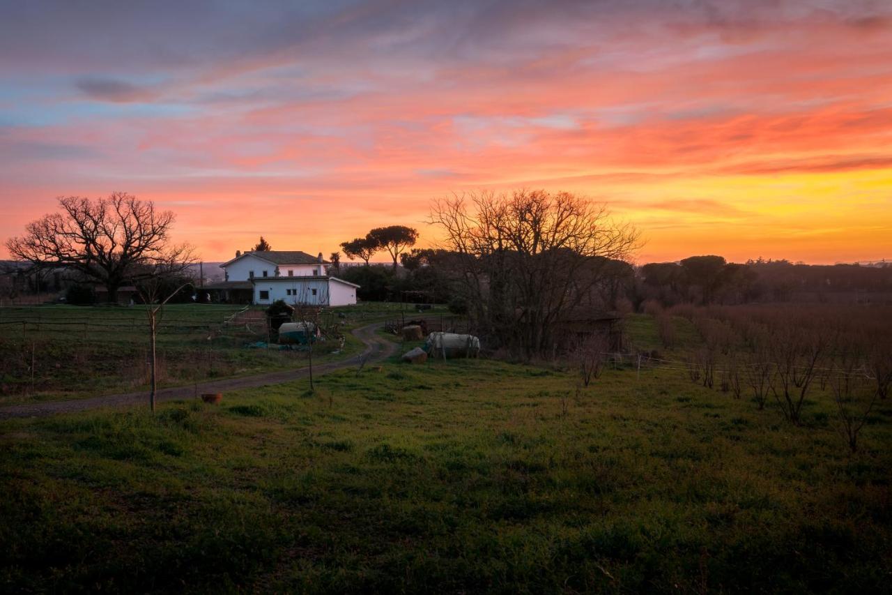 Agriturismo Il Poggio Ветралла Экстерьер фото