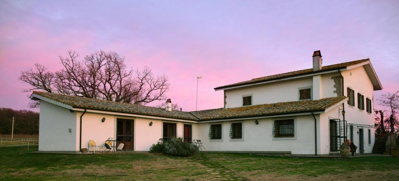 Agriturismo Il Poggio Ветралла Экстерьер фото