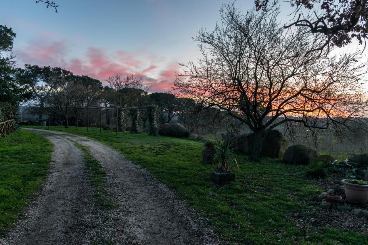 Agriturismo Il Poggio Ветралла Экстерьер фото