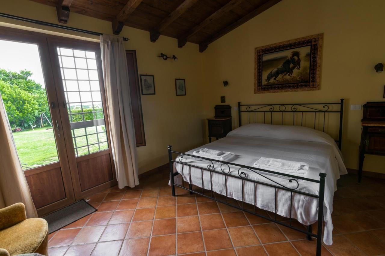 Agriturismo Il Poggio Ветралла Экстерьер фото