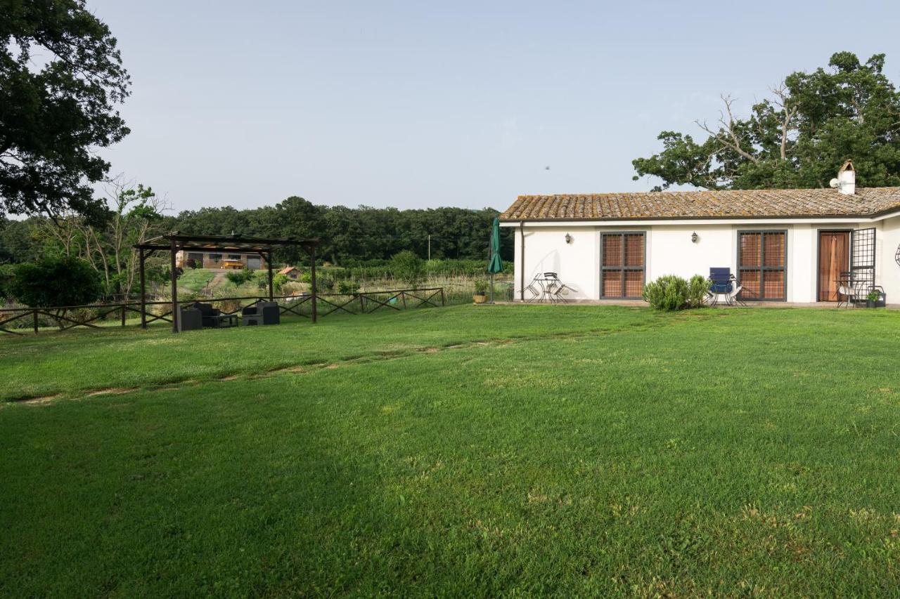Agriturismo Il Poggio Ветралла Экстерьер фото