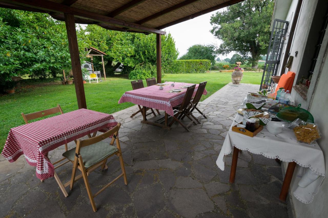 Agriturismo Il Poggio Ветралла Экстерьер фото