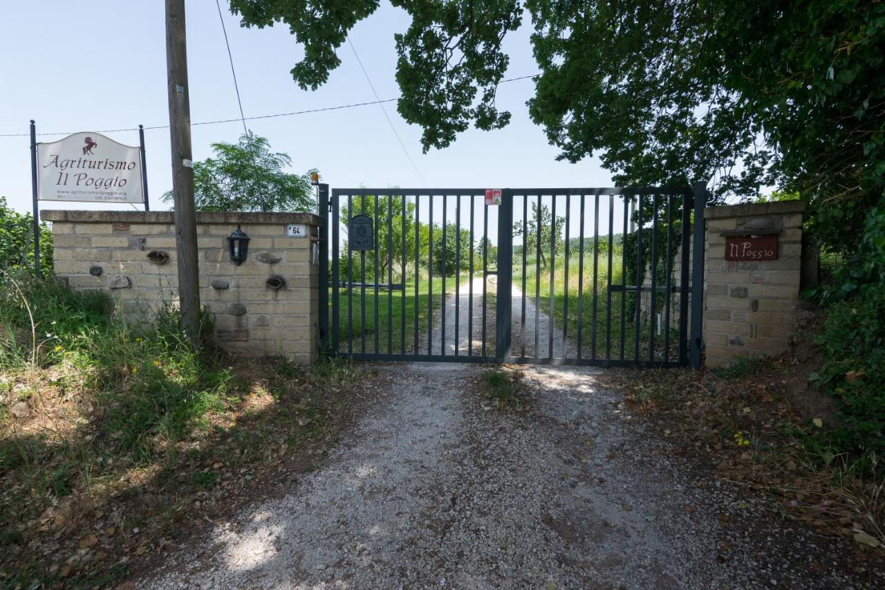 Agriturismo Il Poggio Ветралла Экстерьер фото