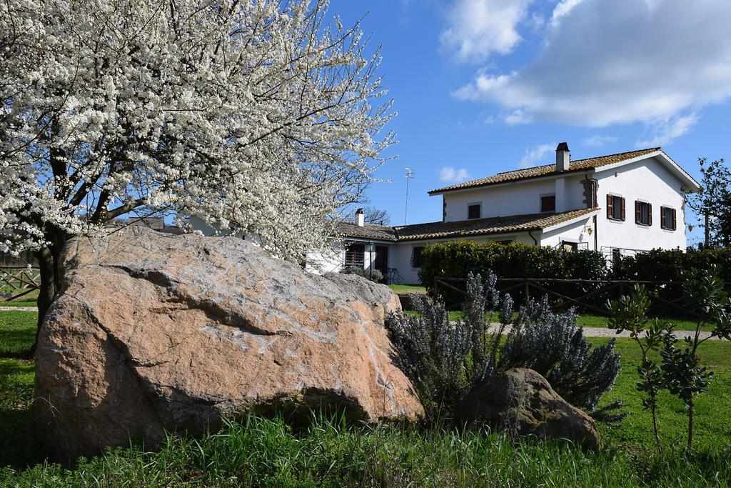 Agriturismo Il Poggio Ветралла Экстерьер фото